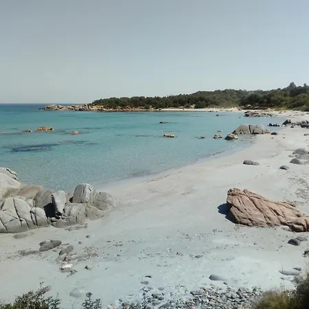 Casa Delle Mimose Con Terrazza Διαμέρισμα Cardedu
